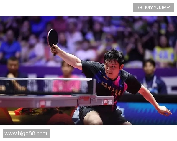 吴敬平称樊振东反手发球如德甲战术精髓展现出高水平竞技智慧